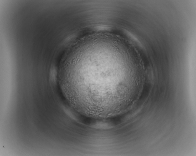 X0000113630550200909251223