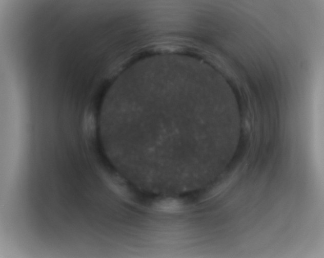 X0000113630551200909251223
