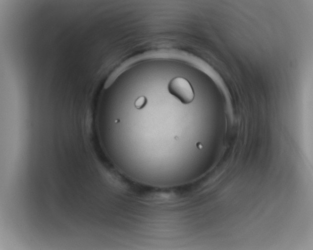 X0000113630552200909251223