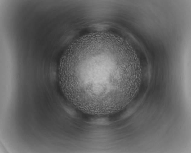 X0000113630553200909251223