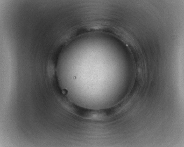 X0000113630555200909251223
