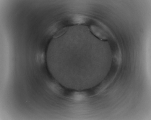 X0000113630556200909251223