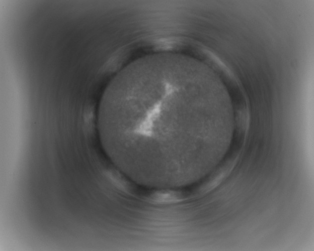 X0000113630557200909251223
