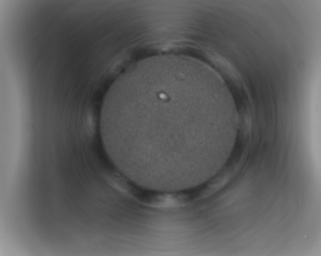 X0000113630558200909251223