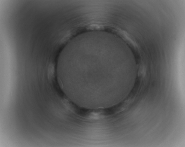 X0000113630560200909251223