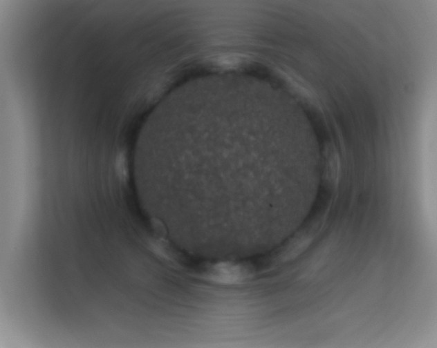 X0000113630562200909251223