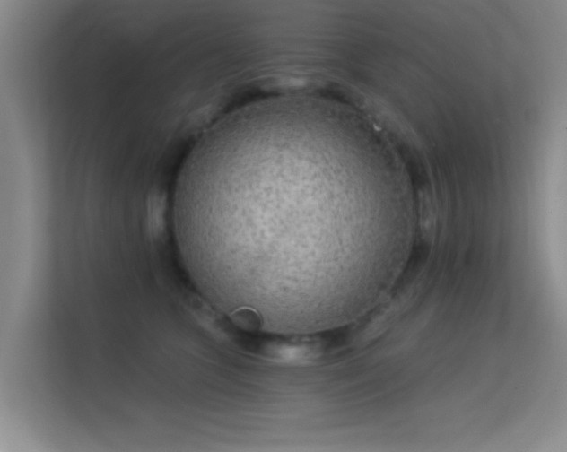X0000113630563200909251223