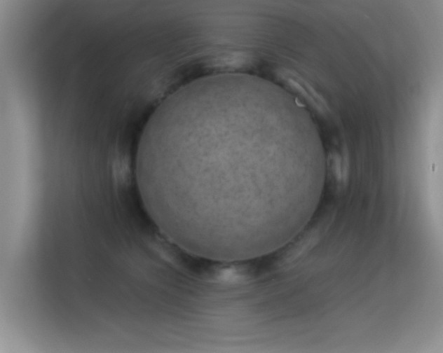 X0000113630564200909251223