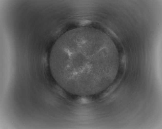 X0000113630565200909251223