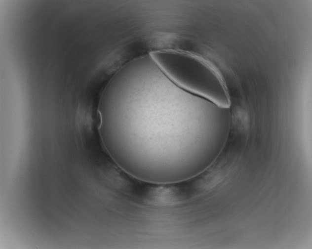 X0000113630566200909251223