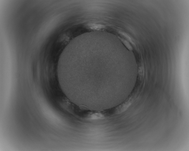 X0000113630572200909251223