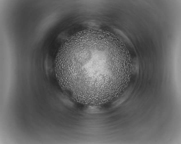 X0000113630573200909251223