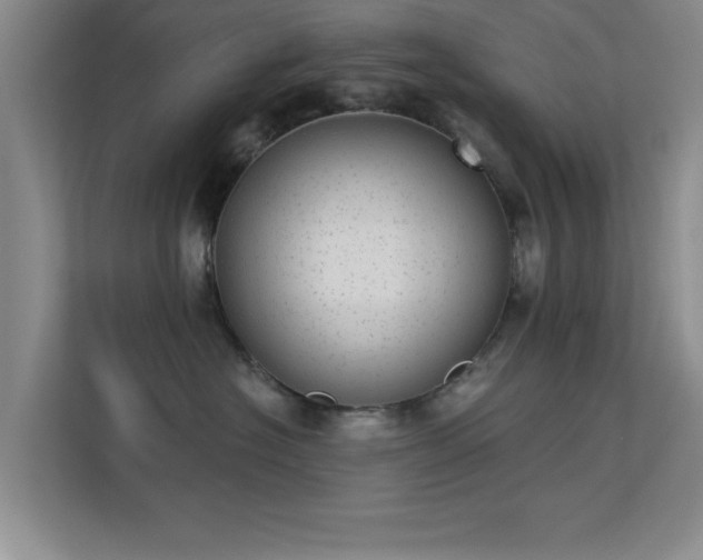 X0000113630574200909251223