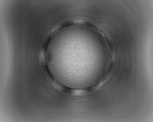 X0000113630575200909251223