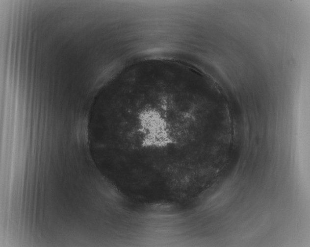 X0000113630581200909251222