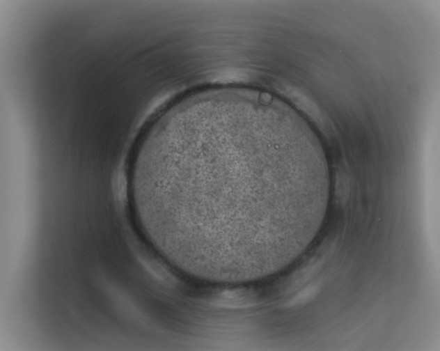 X0000113630584200909251222