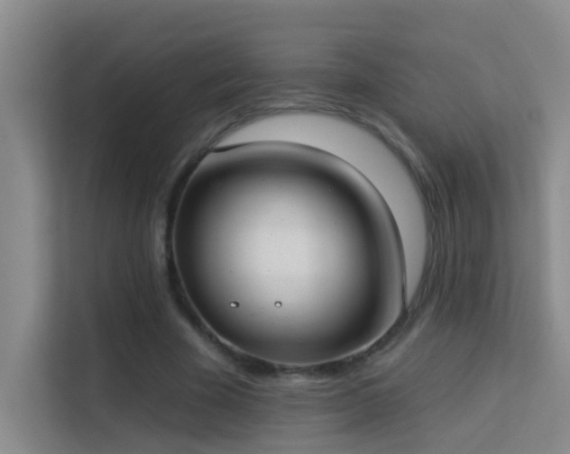 X0000113630585200909251222