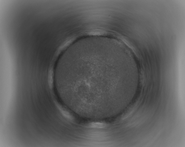 X0000113630586200909251222