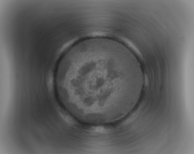 X0000113630588200909251222