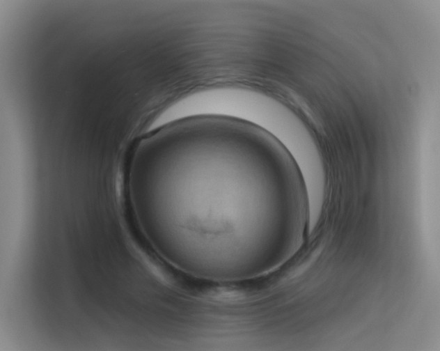 X0000113630589200909251222