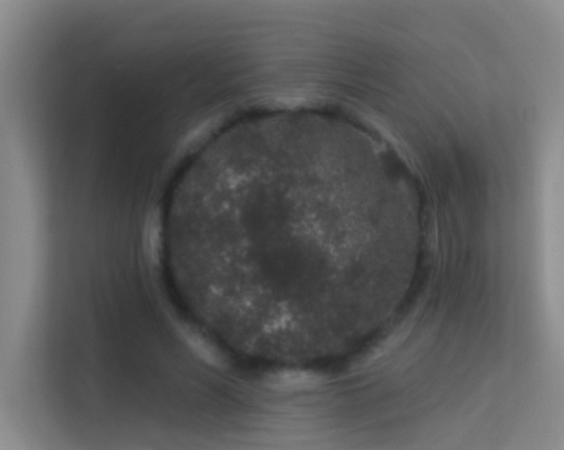 X0000113630590200909251222