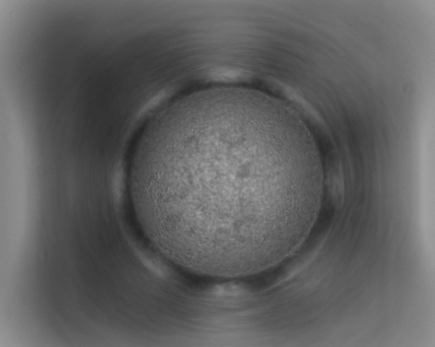 X0000113630591200909251222