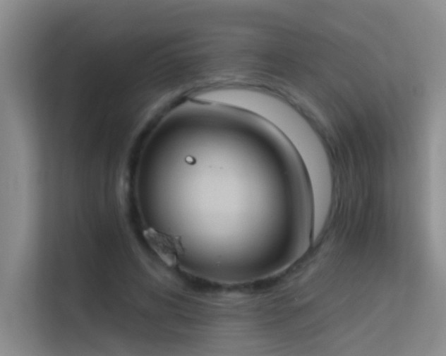 X0000113630592200909251222