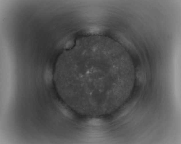 X0000113630593200909251222