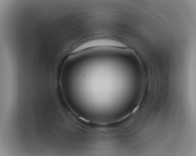 X0000113630595200909251222