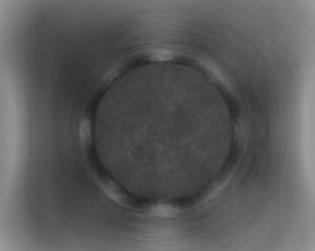X0000113630598200909251222