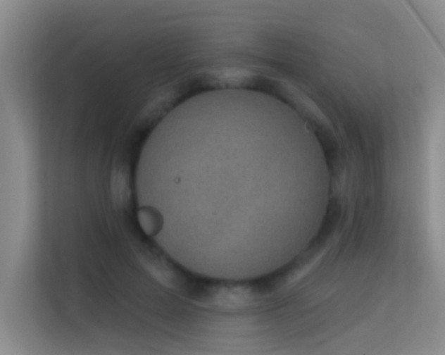 X0000113630599200909251222