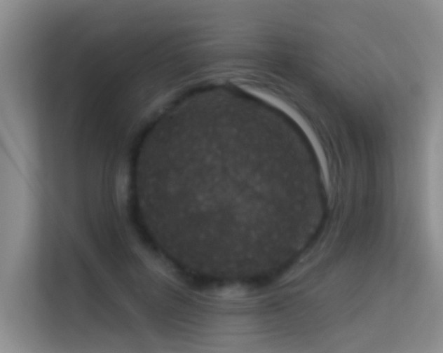 X0000113630600200909251222
