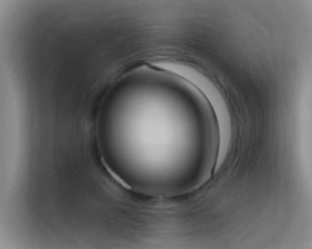X0000113630601200909251222