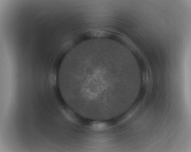 X0000113630602200909251222
