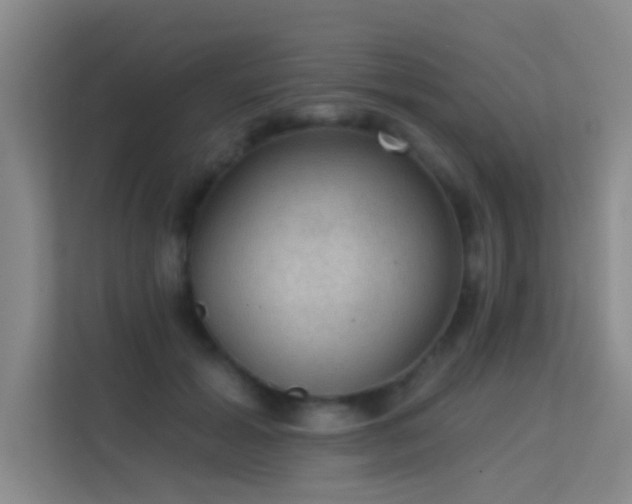 X0000113630605200909251222