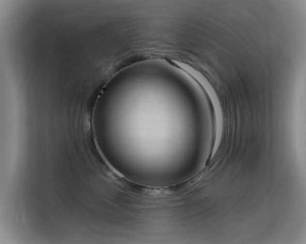 X0000113630621200909251222