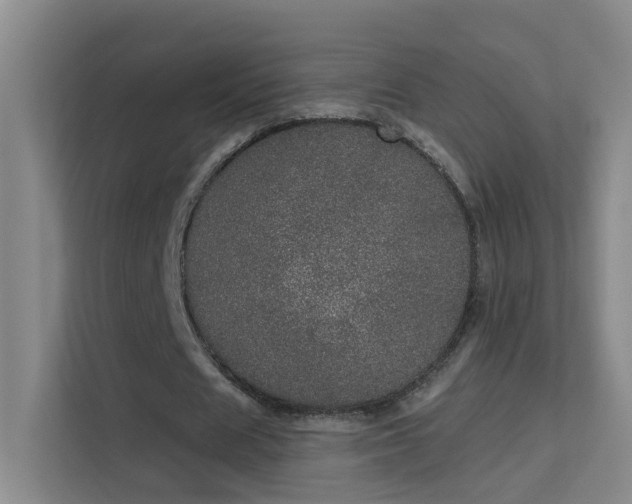 X0000113630625200909251221
