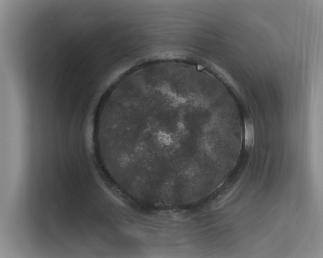 X0000113630627200909251221