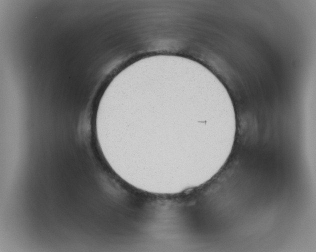 X0000113630632200909251221