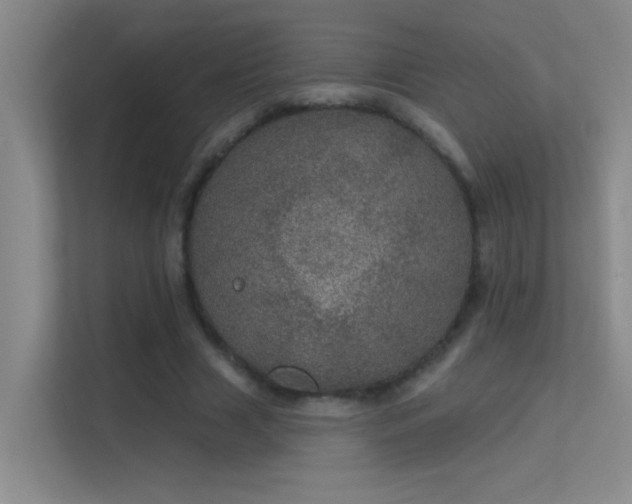 X0000113630633200909251221
