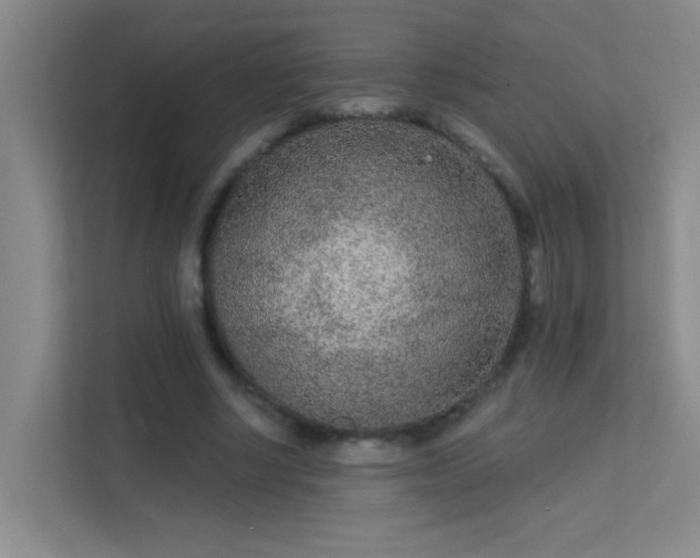 X0000113630634200909251221
