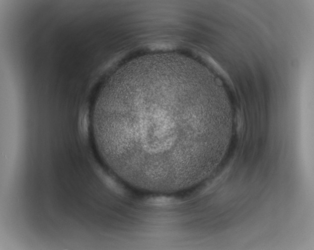 X0000113630637200909251221