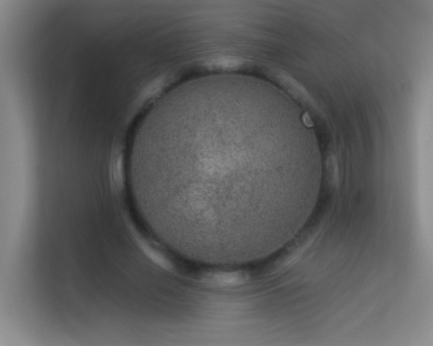 X0000113630638200909251221