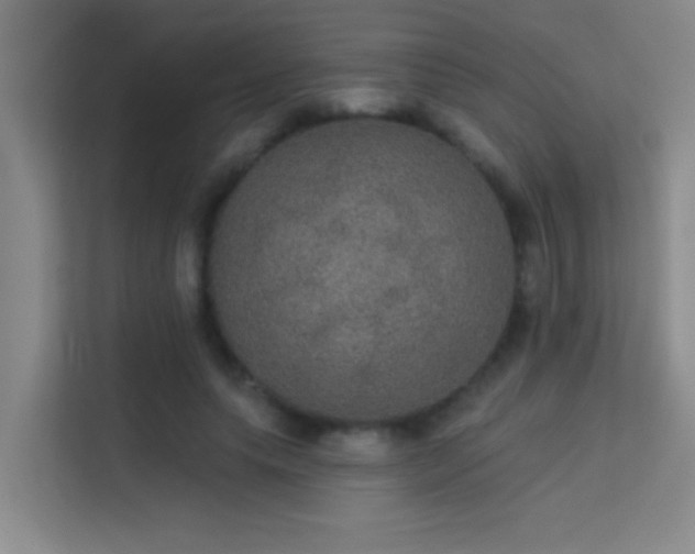 X0000113630639200909251221