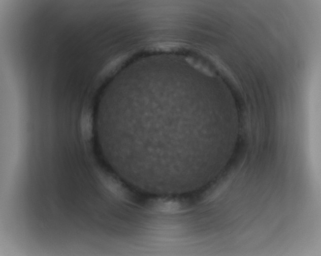 X0000113630640200909251221