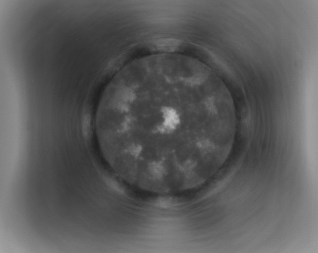 X0000113630641200909251221