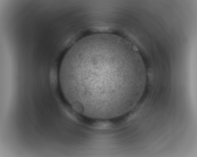 X0000113630642200909251221