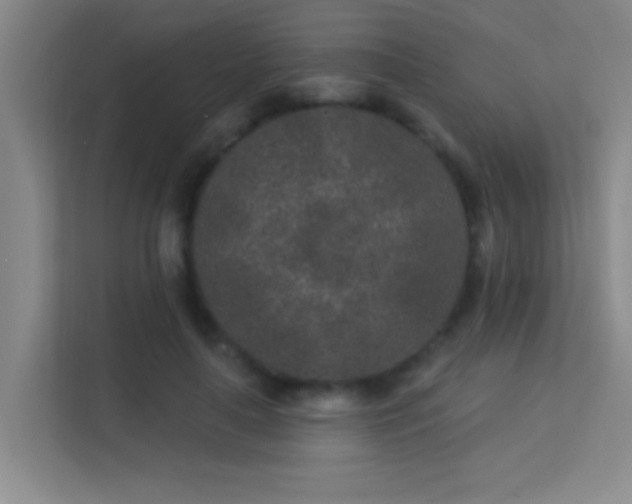 X0000113630643200909251221