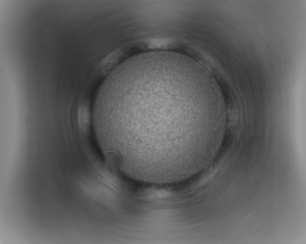 X0000113630648200909251221