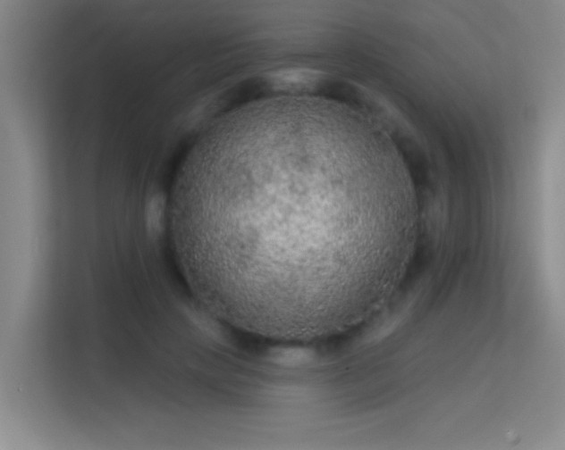 X0000113630649200909251221